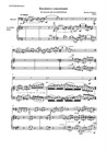 M.Brajkovic Recitativo concertante for bassoon and accordion/bayan